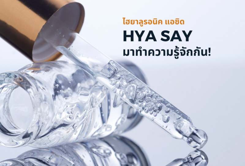 Hya say : มาทำความรู้จักเรากัน